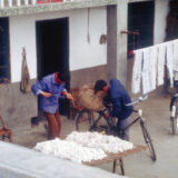 baumwolle-IMG0065_2400-01