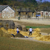 getreide-IMG0069_2400